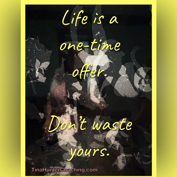 Quince large worn once Orange Short Dress with pockets! - Picture 5 of 5